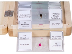 Conjunto de 50 Lamelas para Microscópio BRESSER Prepared Slides com Mala