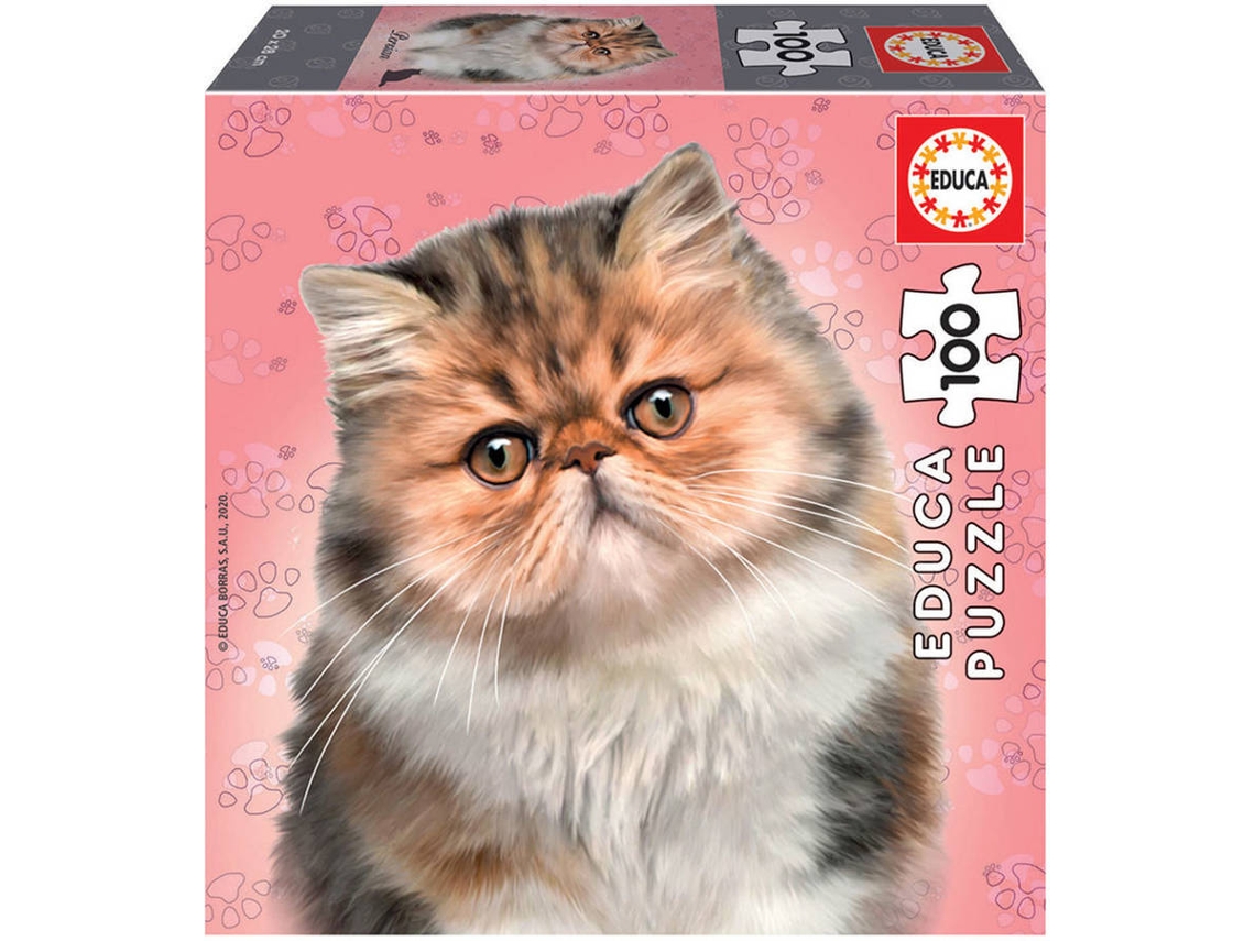 Puzzle EDUCA Educa Cat Breeds 100 Persian (Idade Mínima: 6 Anos - 100 Peças)
