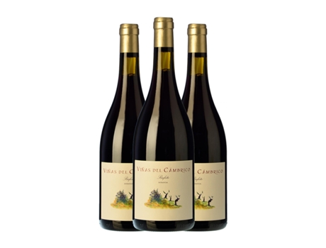 Vinho CÁMBRICO Viñas Miranda Vino de la Tierra de Castilla y León (0.75 L - 3 Unidades)