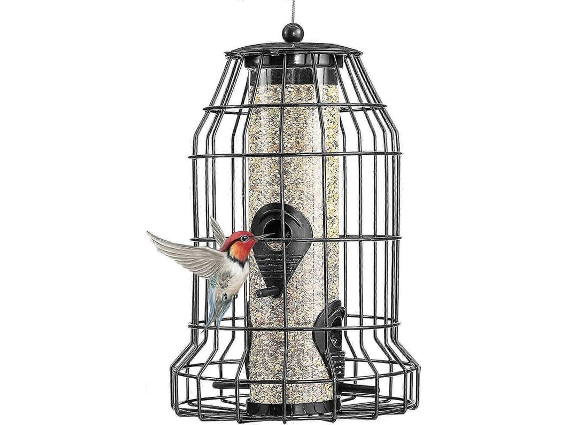 Aveirodo De Aves Selvagens Com 4 Portas, Design De Jaula Anti-esquilos Para Pássaros No Jardim
