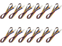 Conjunto de 12 cordões coloridos, 200 cm de compressão, com data plana, 2 cm de comprimento, para Crachás e Chaves