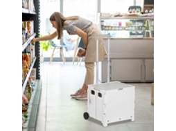 Carrinho de Compras Dobrável, 32l, 2 Rodas, 41,5x32,5x85cm, Branco S/MARCA