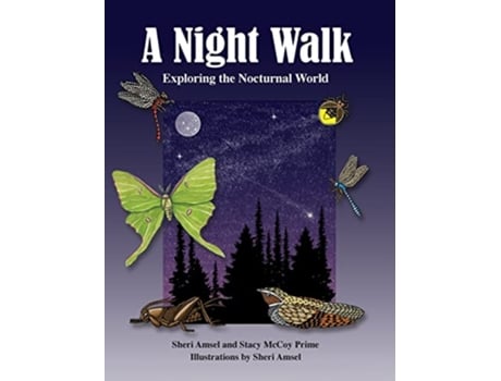 Livro A Night Walk Exploring the Nocturnal World de Sheri Amsel Stacy McCoy (Inglês)
