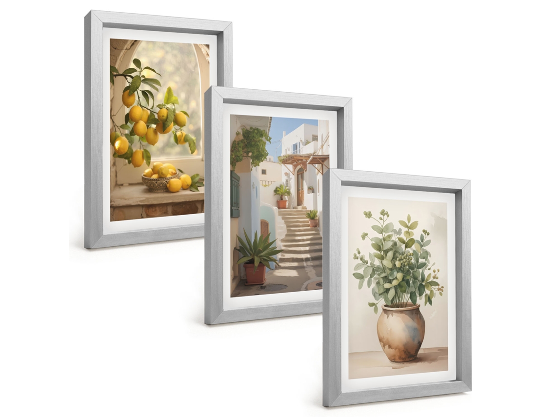 Composição De Quadros Limões Em Um Vaso, Plantas Espelharte (3 Peças 20x30 Cm)