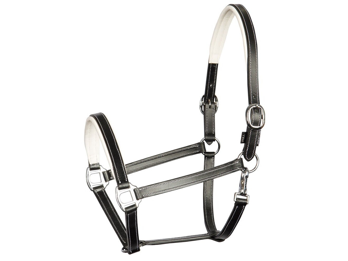 Cabeção HARRY'S HORSE Elegance (Cob)