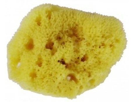 Esponja  (1 un)