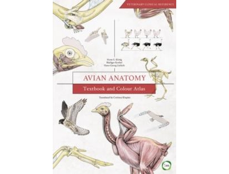 Livro Avian Anatomy 2nd Edition Textbook And Colour Atlas De Horst Erich Konig (inglês)