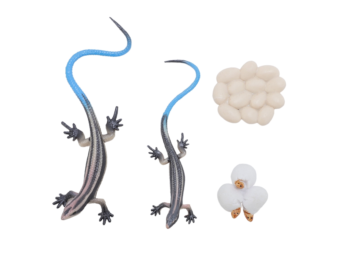 Mali modelo de Lagarto Lifelike em Pvc Decorativo Educativo Brinquedo Réptil para Decoração