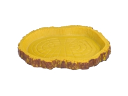 Bacia De Alimento Para Répteis Imitando Casca Para Aquário E Tartaruga Marinha