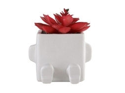 Vaso de cerâmica Baok para suculentas - Lindo vaso para plantas suculentas, ideal para decoração de interiores e exteriores.