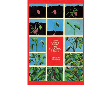 Livro You Cant Own the Fucking Stars Collected Writings on Trauma Addiction Recovery and Transformation de Clementine Morrigan (Inglês)