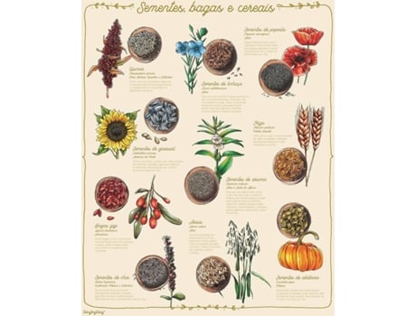 Poster EDICARE SOS Cozinha: Sementes, Bagas e Cereais