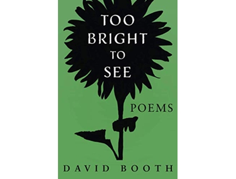 Livro Too Bright to See de David Booth (Inglês)
