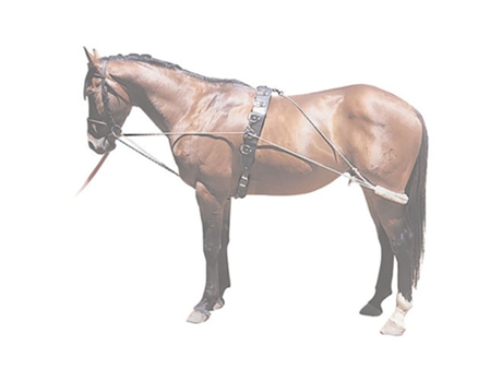 Auxiliar de Treinamento de Adestramento Dourado Ponypessoa