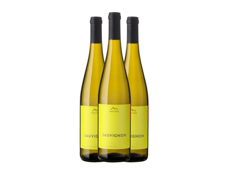 Vinho branco ERSTE NEUE Sauvignon Alto Adige (0.75 L - 3 Unidades)