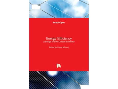 Livro Energy Efficiency De Zoran Morvaj (inglês - Capa Dura)