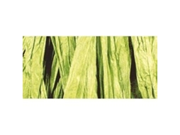 RAYHER Rayon Ráfia Verde