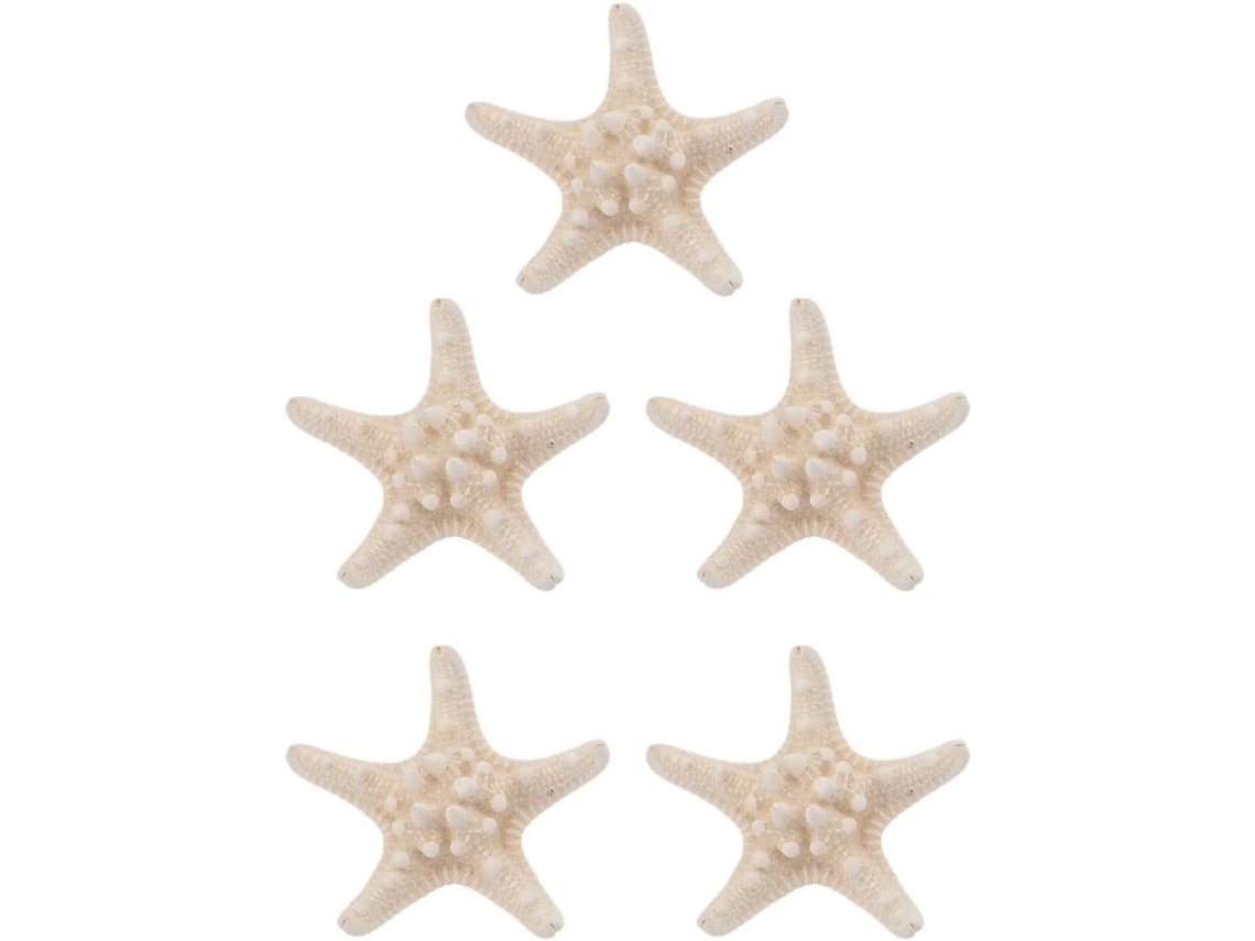Ímãs De Geladeira Alipis, Conjunto De 5 Peças, Com Formato De Figura Marinha