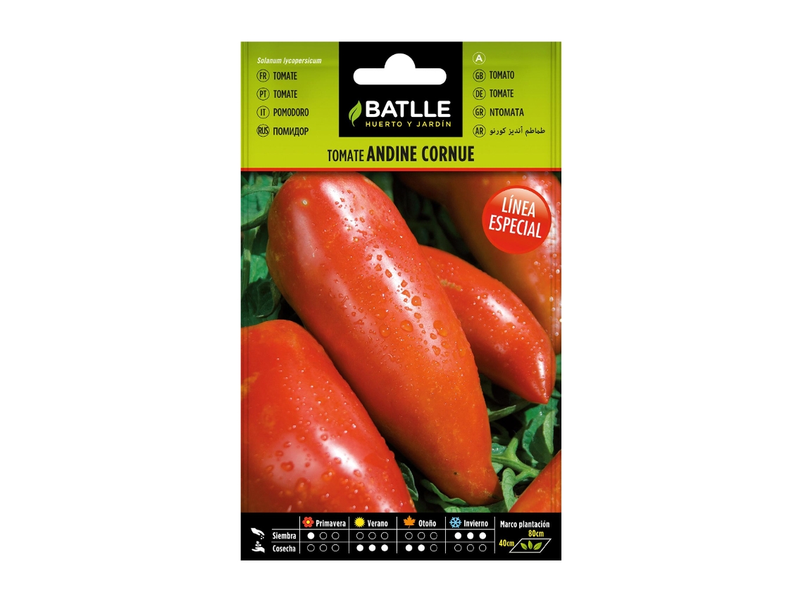 Sementes de tomate andino Cornue BATLLE