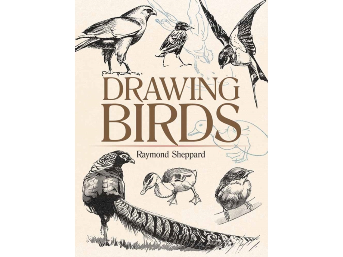 Livro Drawing Birds de Raymond Sheppard (Inglês)