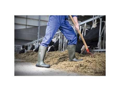 Botas de Unissexo BEKINA Segurança Steplite Easygrip Verde (37)
