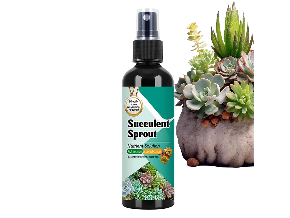 Fertilizante para Cactos Adubo para Vasos de Plantas Domésticas, 100ml Estimulante de Brotamento para Crescimento, CHABERLU