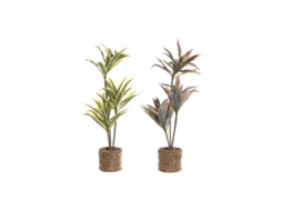 Planta Decorativa Home Esprit Polietileno Fibra 30 X 30 X 75 Cm (2 Unidades)