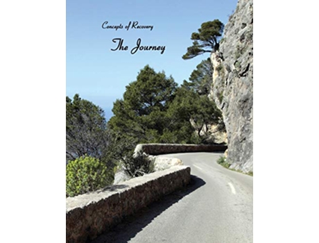 Livro Concepts of Recovery The Journey de Millie Lace Pauly Bunting Sherry Neuenschwander (Inglês)