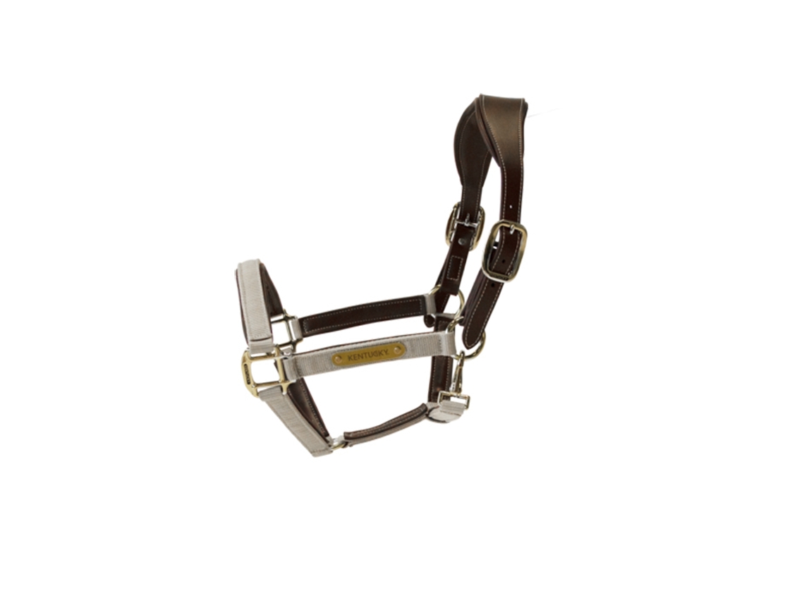 Cabresto anatómico para cavalos nylon Kentucky