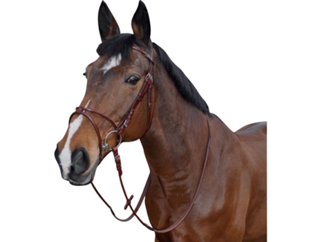 Riding bridles atlanta round LEXINGTON