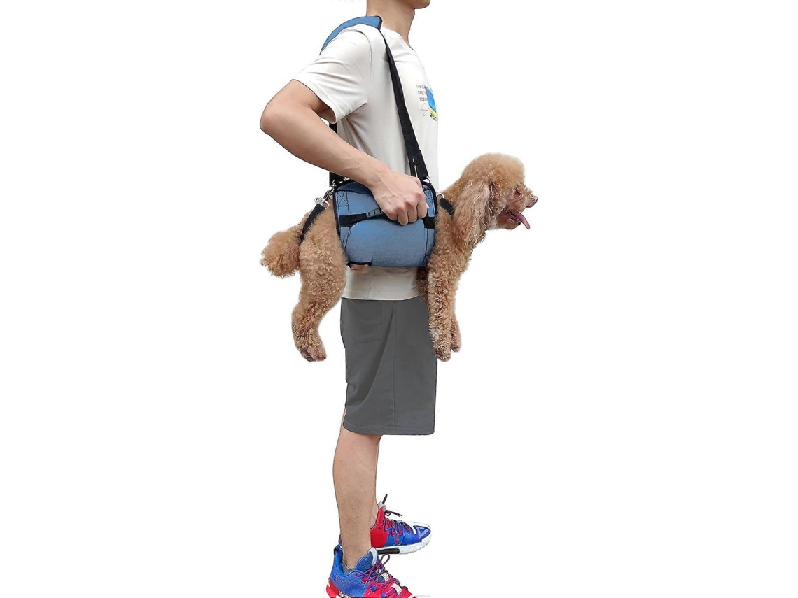 Mochila de Transporte para Cães, com Abertura para Patas AQUAFORGE