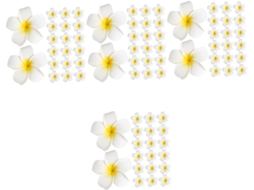 Conjunto de 4 presilhas de cabelo em formato de flor de frangipani para mulheres com arame.
