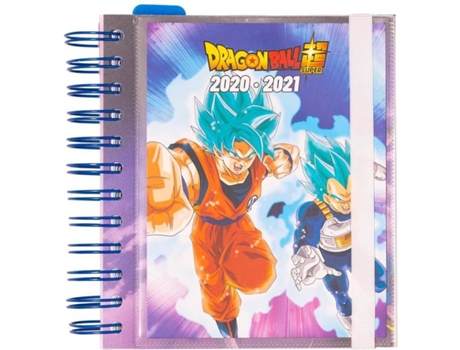 Agenda Diária  2020/2021