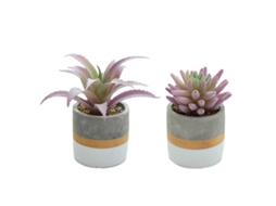 2 Peças de Mini Suculentas Simuladas em Vaso Ornamentos Criativos de Moda Plantas Artificiais NEVEANCE