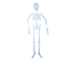 Decoração De Cabeça De Caveira Brilhante Para Halloween