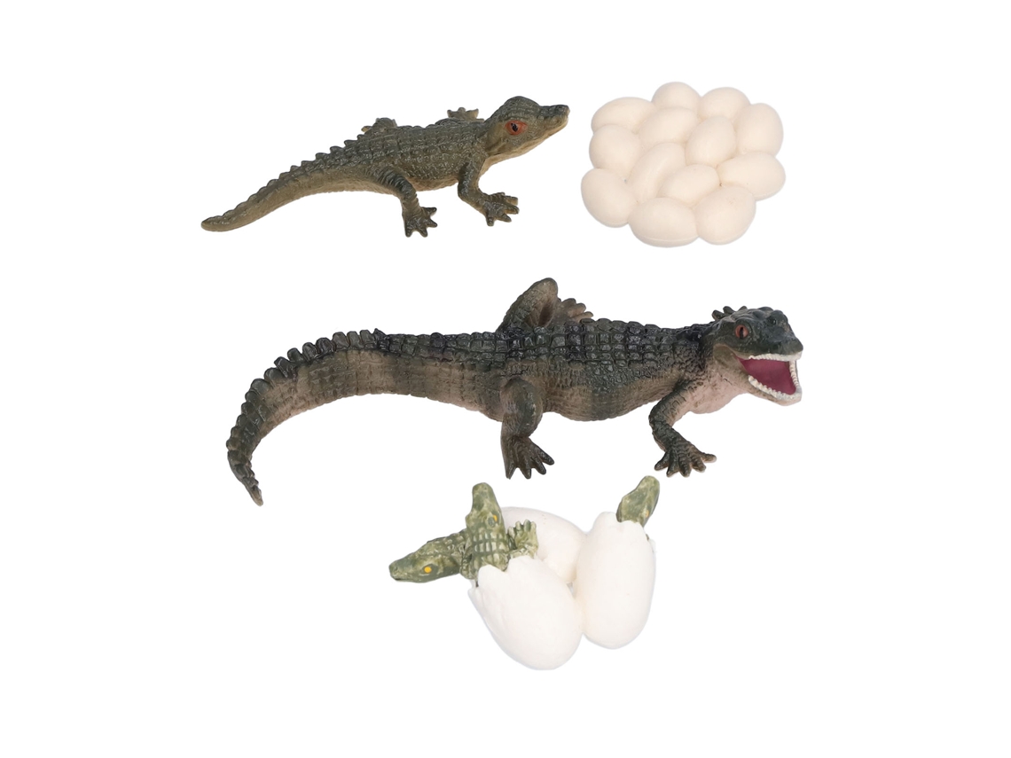 Mali brinquedo Educativo Modelo Ciclo de Vida Crocodilo para Crianças 3 Anos +