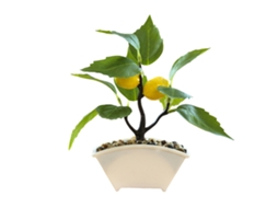Laxiscreed Árvore De Limão Em Miniatura De Bonsai Com Ramos De Espuma E Vaso De Plástico
