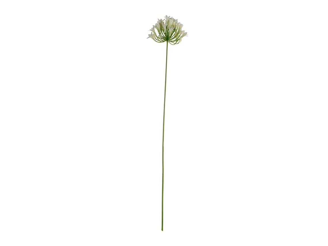 Haste Artificial Agapanto 75Cm - de ko ASA SELECTION