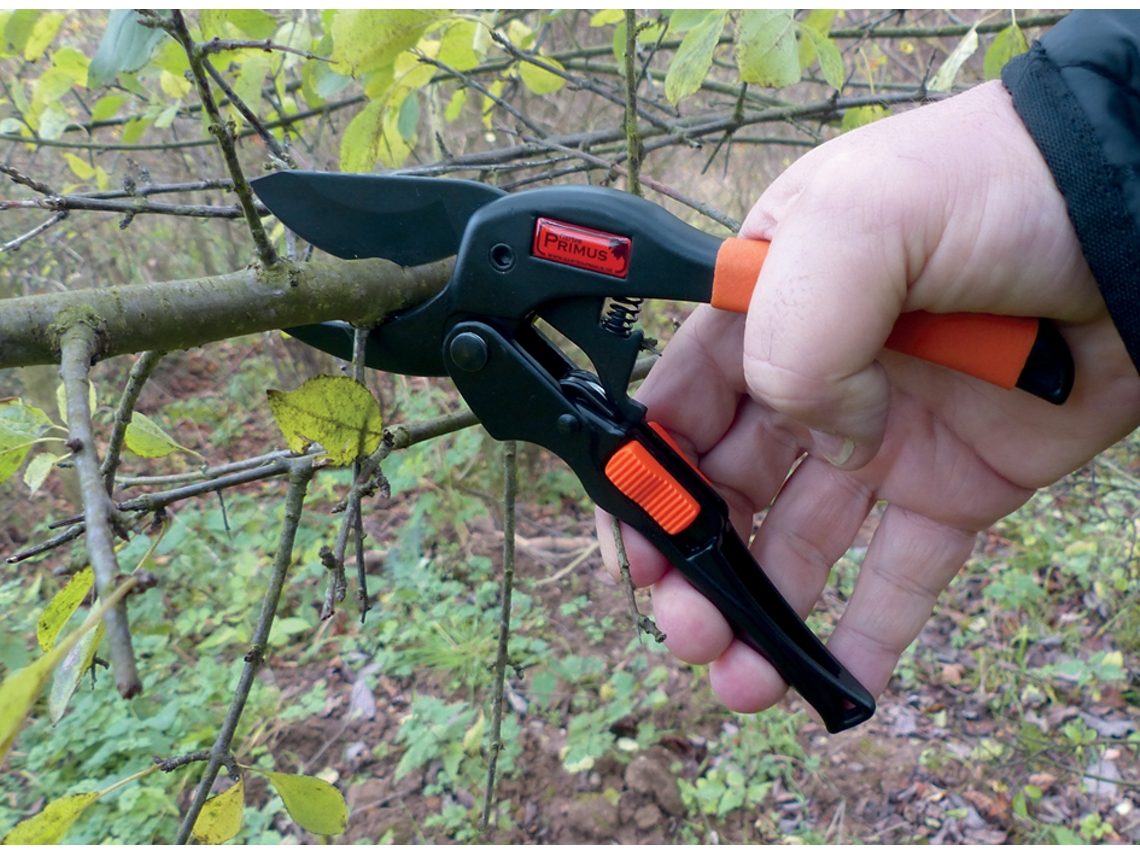 Tesouras de Jardim Primus Powergleittesoura Comprimento: 203 Mm GARTEN PRIMUS