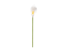 Flor artificial Mini Copo-de-Leite com tamanho flexível para decoração LAXISCREED