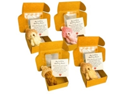 Pacote Com 4 Mini Ursos De Pelúcia De Bolso Em Caixa Com Presentes De Cartão Inspiradores Zeuxo