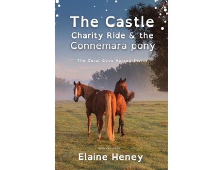 Livro The Castle Charity Ride and the Connemara Pony - Dyslexia Friendly de Elaine Heney (Inglês)