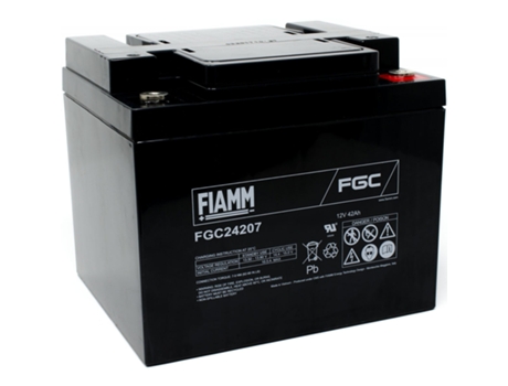 Bateria FIAMM para FG24204 Vds