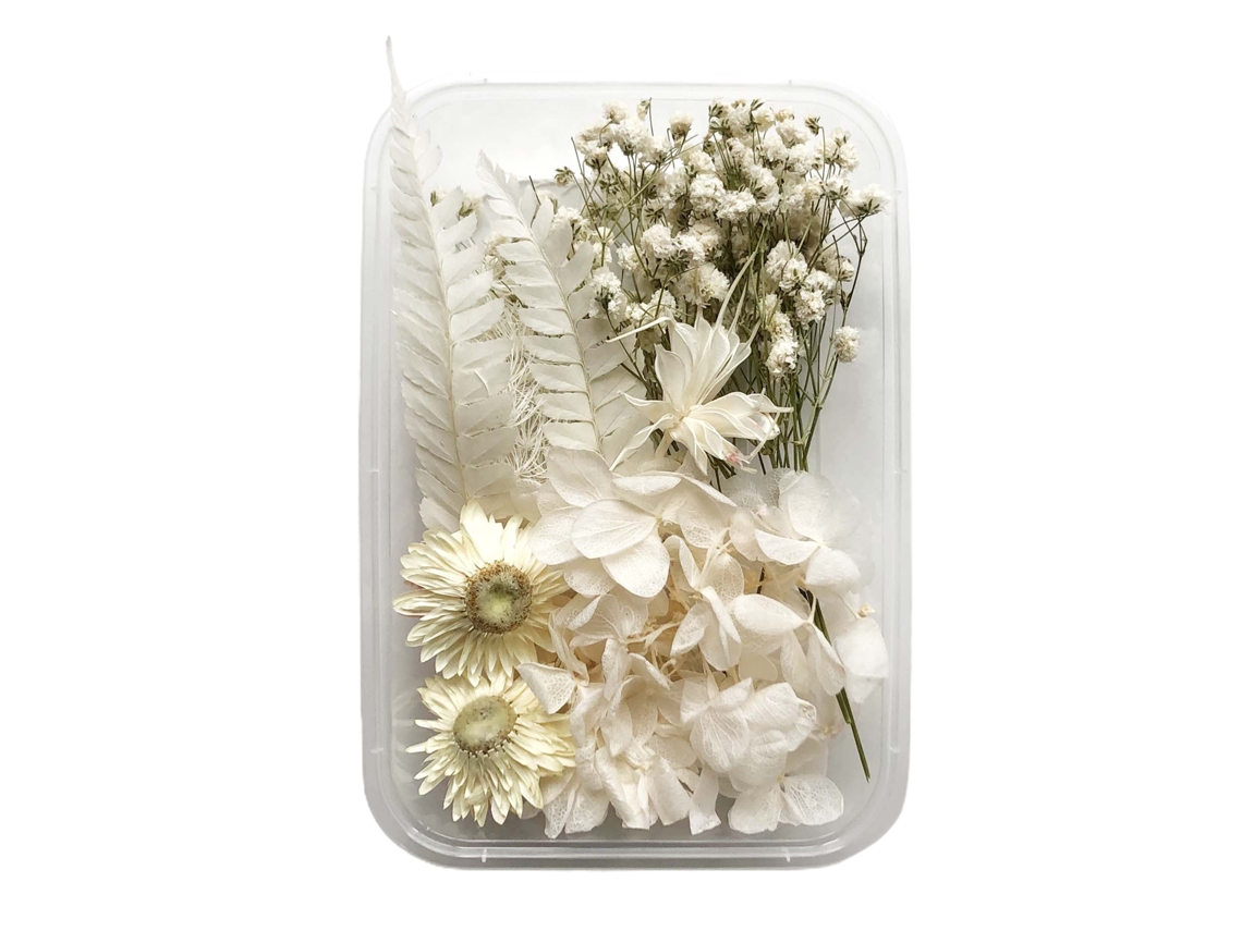Laxiscreed 10 Peças De Flores Preservadas Brancas Para Velas Aromáticas E Artesanato Floral