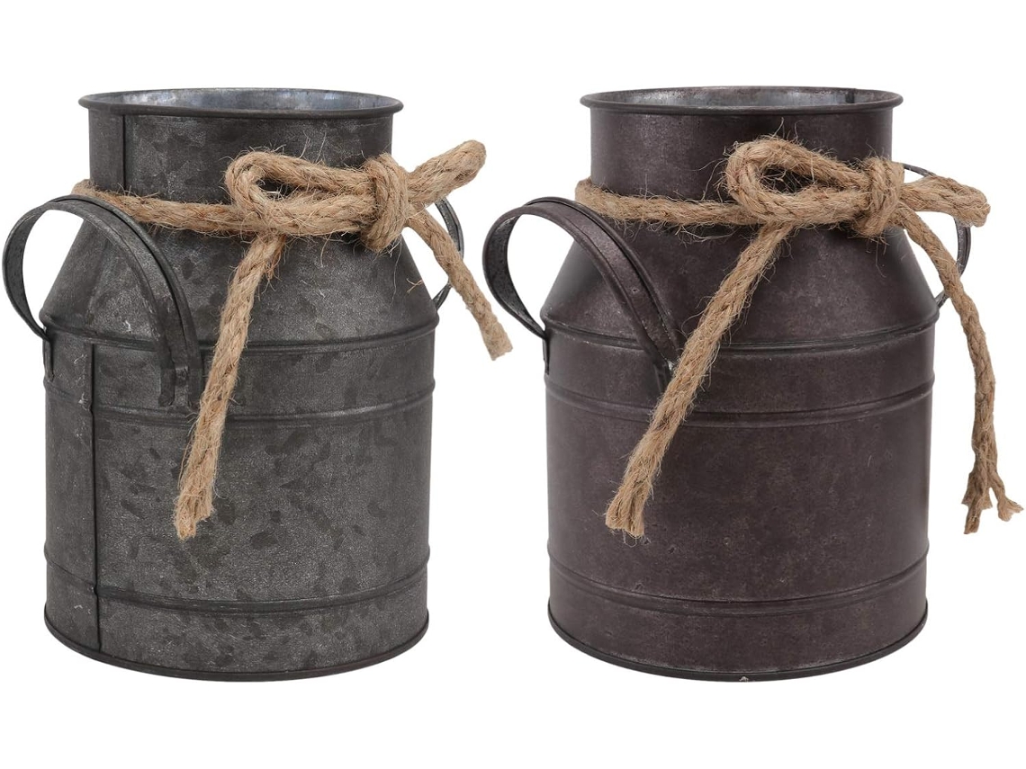 Vasos De Ferro Retrô (2 Unidades) Para Suculentas E Plantas