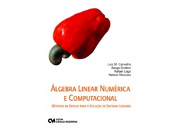 Livro Algebra Linear Numerica E Computacional Metodos D de Luiz M Carvalho (Português)