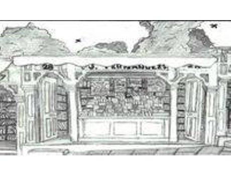 Livro Diario Relaciones De Viaje de Cristobal Colon (Espanhol)