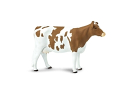 SAFARI Ayrshire Cow