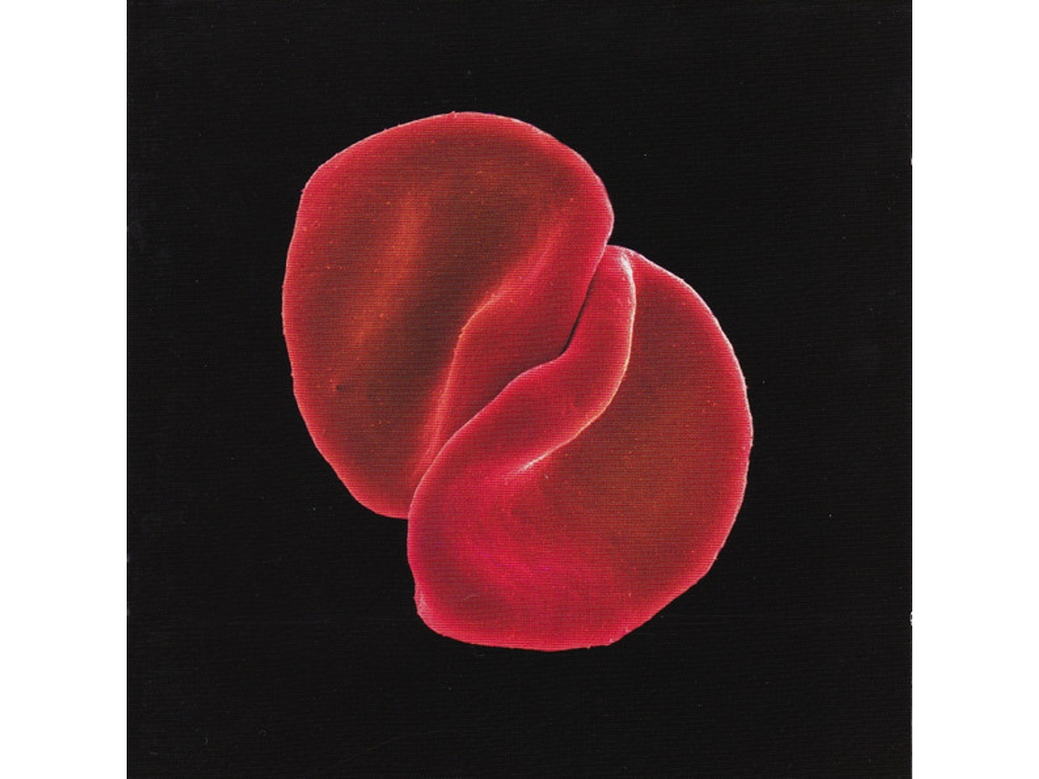 CD Peter Gabriel - Scratch My Back