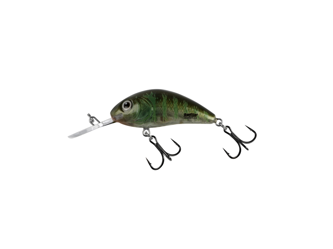 Lure SALMO H3 5F